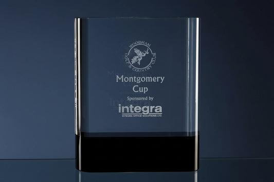 3D CRYSTAL Glass award 15.5cm Optical Crystal Rectangle with Onyx Black Base