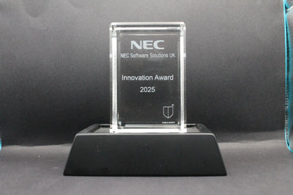 Tall Rectangle 3D Crystal Glass Award