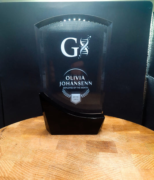 18cm Optical 3D Crystal Arch Award with Onyx Black Swooping Base
